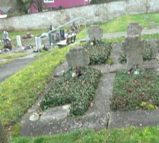 Friedhof Neckarhausen