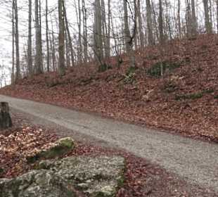 Wildpark Eichert