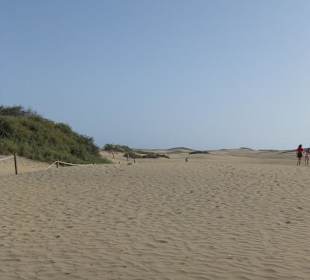 Die wunderschönen großen Dünen