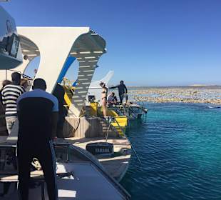 Schnorcheln Makadi Bay