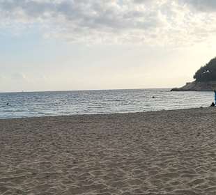 Strand Paguera/Peguera