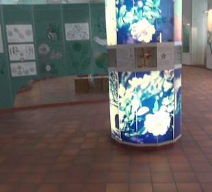 Entwicklung der Pflanzenwelt