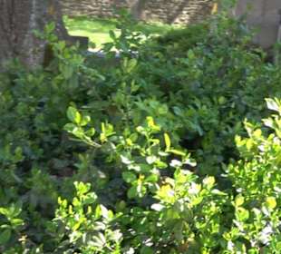 Historischer Rundgang