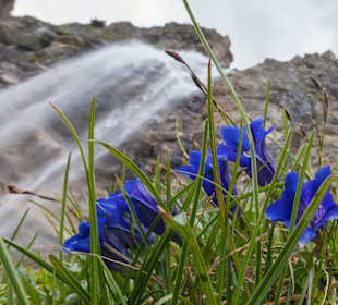 Wandern San Valentino alla Muta / St. Valentin auf der Haide