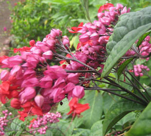 Tolle Farben