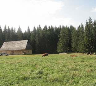 Tatrzański Park Narodowy