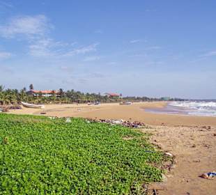 Nur wenige Meter vom Hotel entfernt eine Müllhalde