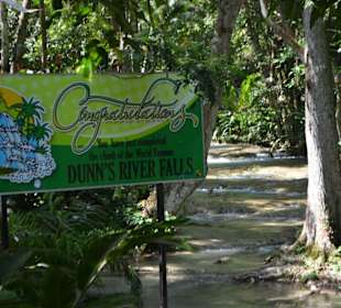 Dunns River Falls