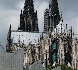 Dom in Köln