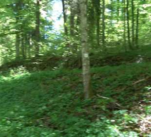 Magolsheimer Buchtalweg