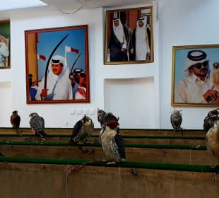 Falcon Souq