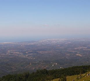 Vom Foia in die Ferne