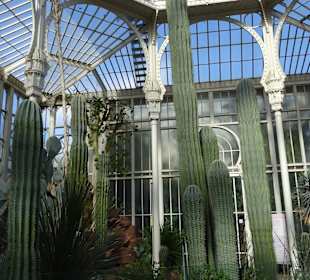 Wilhelma Stuttgart