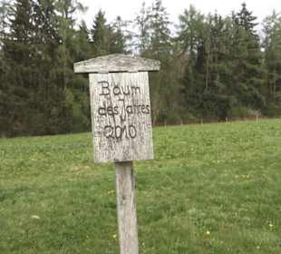 Wanderweg Firstwaldrunde