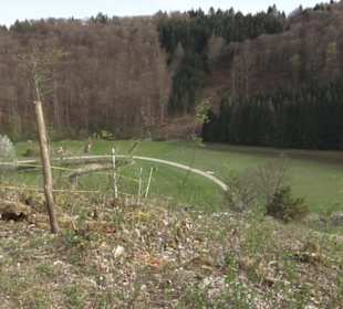 Wanderweg Hochgehswiggert