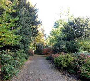 Herbstspaziergang durch den Schlosspark