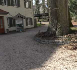 Ehemaliges Schloss Inzigkofen