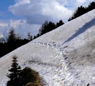 Es sind wohl Leute gelaufen...