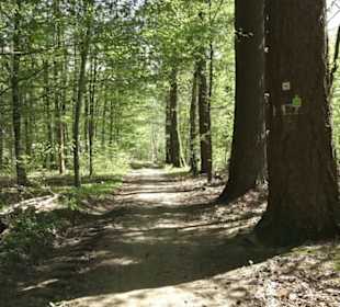 Wanderweg Hochgehwachsen