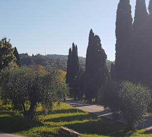 Altstadt Lazise