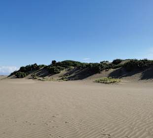 Nationalpark Parque Nacional del Este