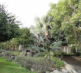 Parque Botánico de Maspalomas