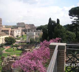 Aussichtspunkt des Palatin mit Blick zum Kolloseum