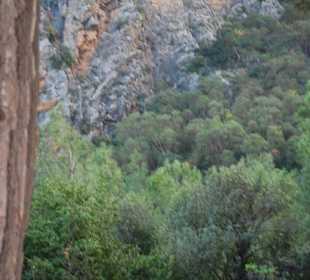 Die Felsen von Olympos