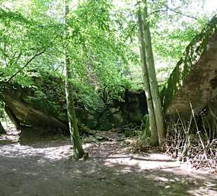 In der Wolfsschanze