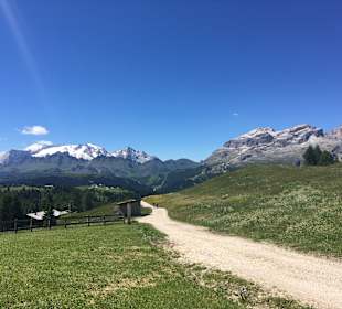 Wandern Brunico / Bruneck