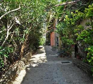 N den Gassen der Altstadt von Collioure