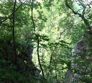 Premiumwanderweg "hochgelegen"