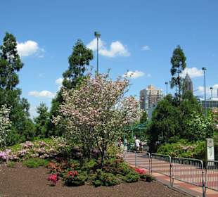 Frühling im Centennial Olympic Park Atlanta