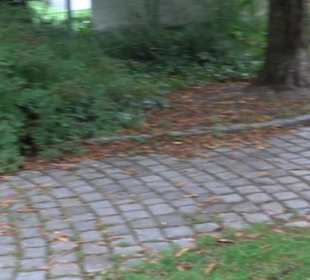 Berolinabrunnen