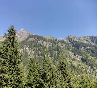 Beim Wandern die Natur bestaunen