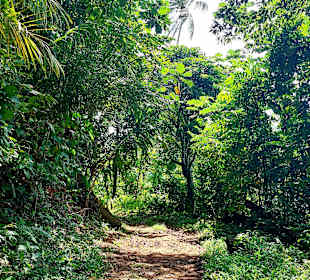 Parque Natural Obô do Príncipe