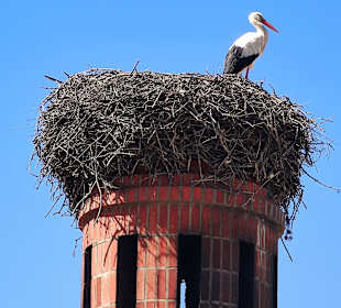 Stadtbesichtigung Praia da Rocha