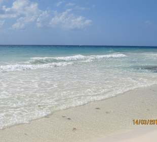 Naturstrand ohne Seegras