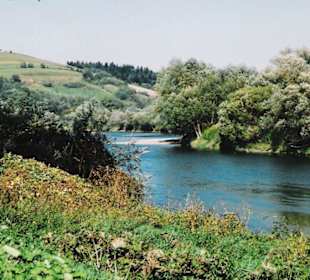 Polska - okolice temeszowa nad sanem