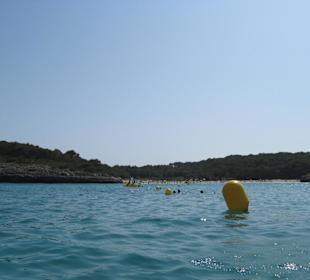 Blick vom Tretboot aus