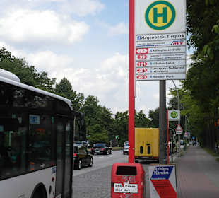 Haltestelle am Tierpark