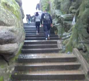 Felsenburg Neurathen