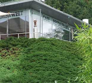 Tierwelt Herberstein