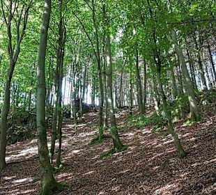 Wandern Schmallenberg