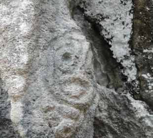 Naturpark Los Haitises - Petroglyphe