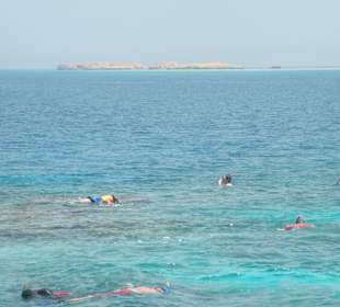 Snorkeling na Giftunie