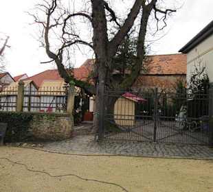 Historischer Ortskern Freinsheim