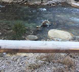 Fluß im Tal