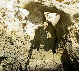 Küstentour €10,00PP