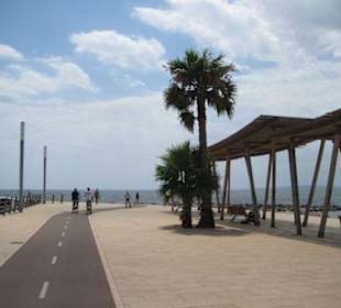 Fahrradweg von El Arenal bis Palma
